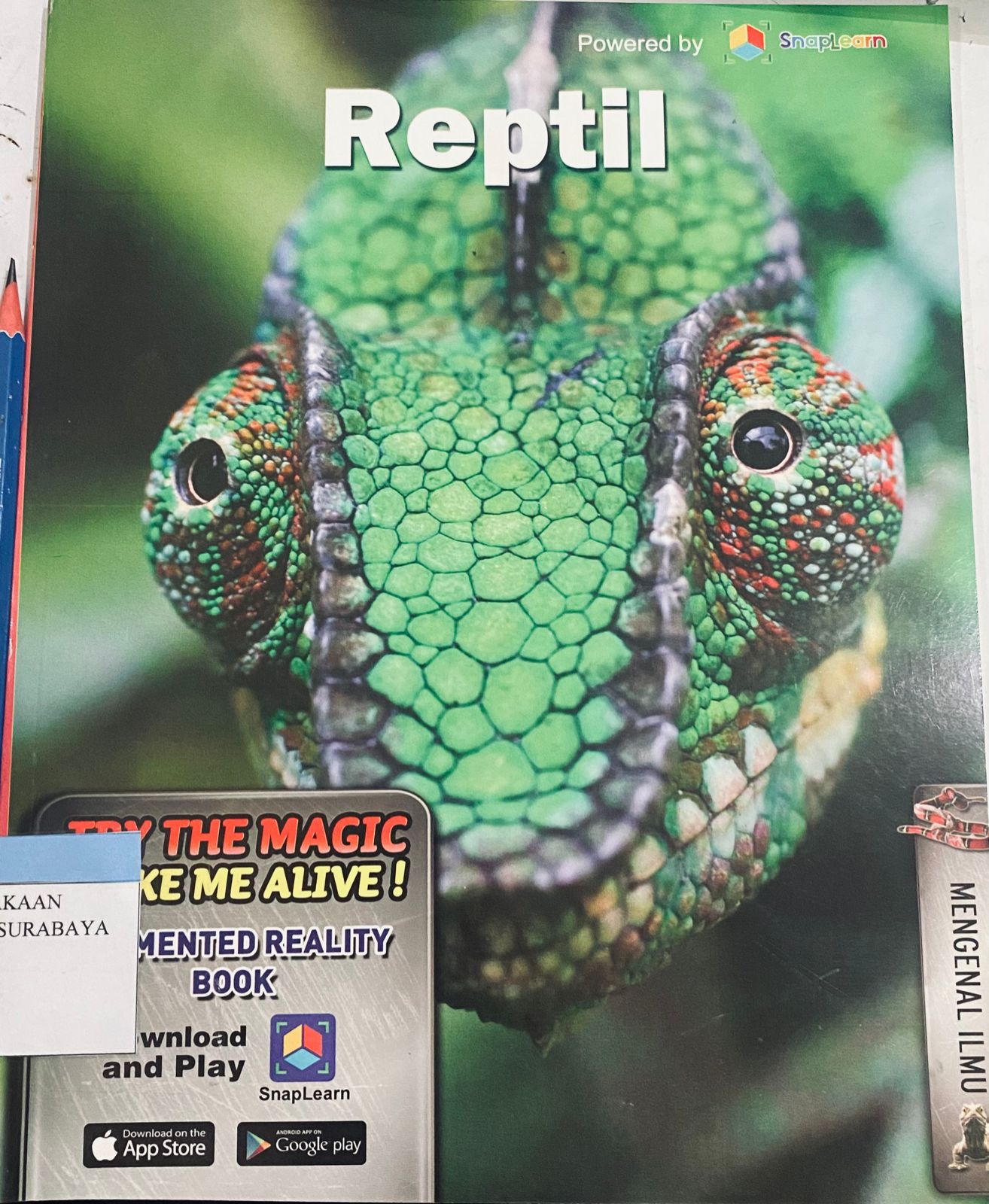 Aku Bisa Mengenal Reptil