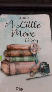 LITTLE MORE DIARY